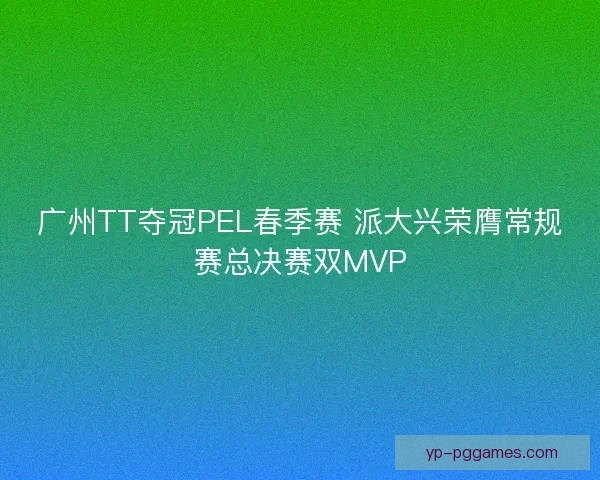 广州TT夺冠PEL春季赛 派大兴荣膺常规赛总决赛双MVP 广州TT夺冠PEL春季赛 派大兴荣膺常规赛总决赛双MVP